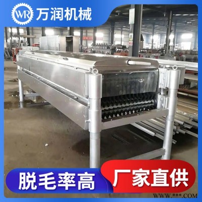 万润机械鸽子脱毛设备 大型家禽屠宰脱毛加工 卧式脱毛机价格图4