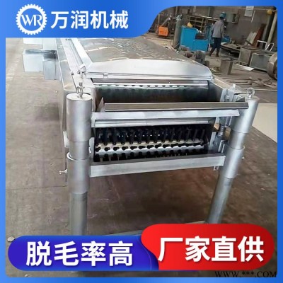 万润机械鸽子脱毛设备 大型家禽屠宰脱毛加工 卧式脱毛机价格图5