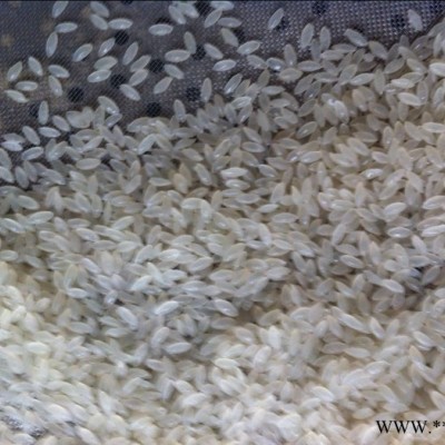 济南盛润TSE-65 营养强化大米人造复合米加工设备 紫薯米生产线 济南盛润 生产厂家图4