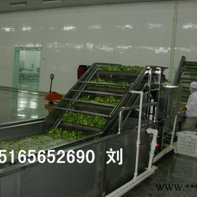 大型蔬菜清洗机 果蔬清洗机 辣椒清洗机-蔬菜加工设备图7