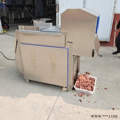 义康QK-200型冻牛肉切块机 香肠加工设备 冻板鸡胸肉切块机图3