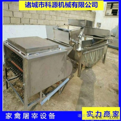 科源KYJX  家禽脱毛浸烫设备 小型浸烫池 鸡脱毛浸烫机设备种类齐全 厂家定制加工图1