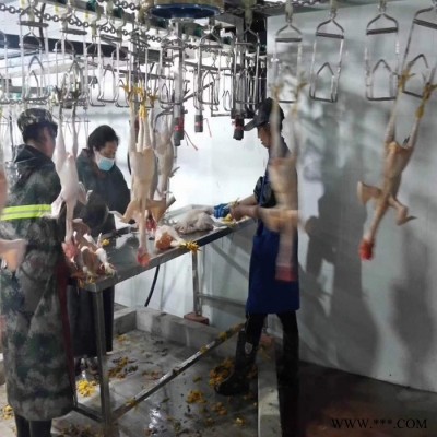 利顺 LS-TZLSX家禽屠宰设备肉鸭屠宰设备鸭鹅宰杀生产线设备家禽宰杀加工设备图2