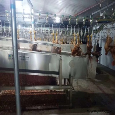 利顺 LS-TZLSX家禽屠宰设备肉鸭屠宰设备鸭鹅宰杀生产线设备家禽宰杀加工设备图3
