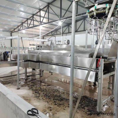 利顺 LS-TZLSX家禽屠宰设备肉鸭屠宰设备鸭鹅宰杀生产线设备家禽宰杀加工设备图8