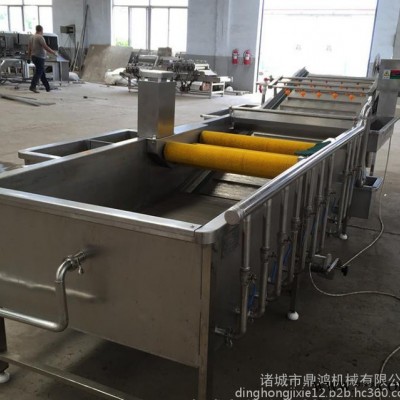鼎鸿QX-3000型净菜加工设备 叶菜清洗机 山野菜清洗机 芥菜清洗流水线 药材清洗设备 全自动洗菜机图3