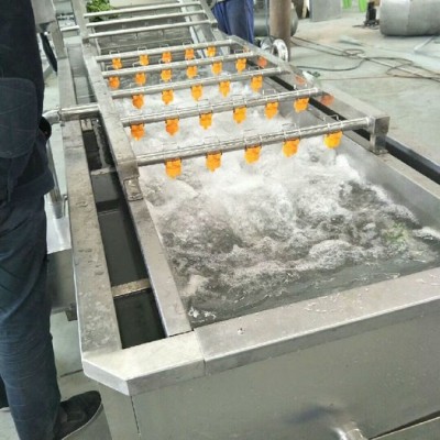 鼎鸿QX-3000型净菜加工设备 叶菜清洗机 山野菜清洗机 芥菜清洗流水线 药材清洗设备 全自动洗菜机图6