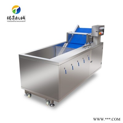 腾昇-TS-X200中型高效洗果机 柑普茶清洗加工设备 自动新鲜青梅果/四月李清洗机图2