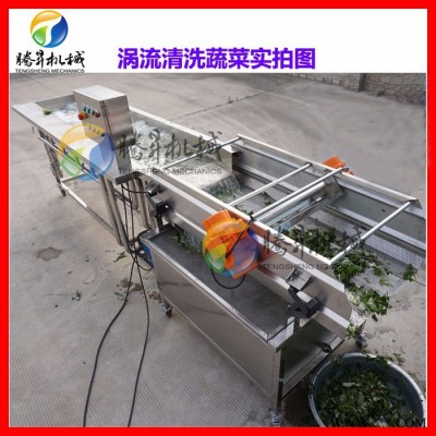 涡流式洗菜机 叶菜类清洗机 清洗生产线 大型洗菜机 连续式蔬菜加工清洗设备 腾昇TS-X680图3