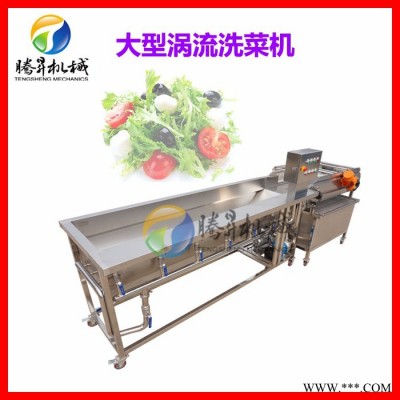 涡流式洗菜机 叶菜类清洗机 清洗生产线 大型洗菜机 连续式蔬菜加工清洗设备 腾昇TS-X680
