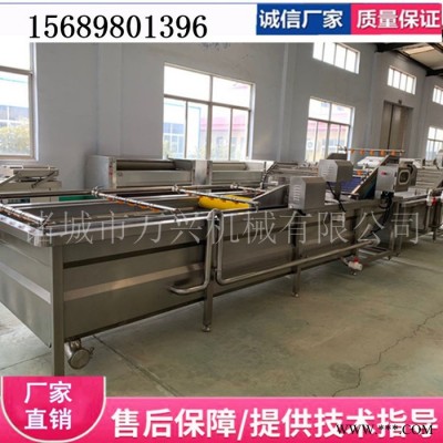 蔬菜清洗机厂家 叶菜清洗机价格  根茎类毛辊清洗设备 气浴清洗机 毛辊清洗机 酱菜加工生产线设备 净菜清洗机图7