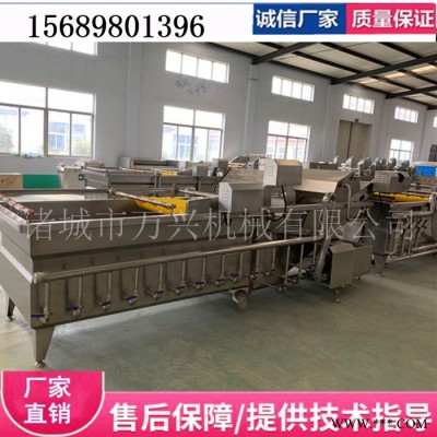 蔬菜清洗机厂家 叶菜清洗机价格  根茎类毛辊清洗设备 气浴清洗机 毛辊清洗机 酱菜加工生产线设备 净菜清洗机图5