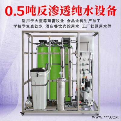 专业生产加工1-100吨/小时反渗透纯水设备 食品加工 工业生产用纯水 自来水井水净化装置 厂家直供图2