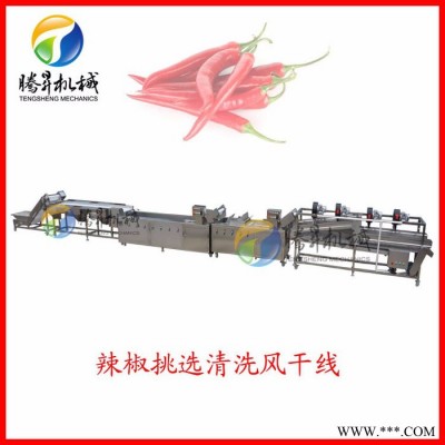腾昇净菜加工生产线  蔬菜清洗风干全套设备 一站式定做 单机定做
