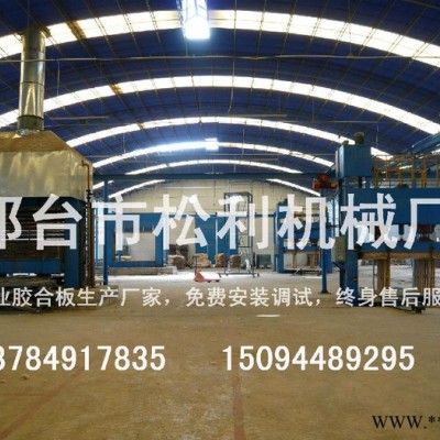 人造板热压机，胶合板贴面热压机，热压机生产厂家，木材加工设备，图2