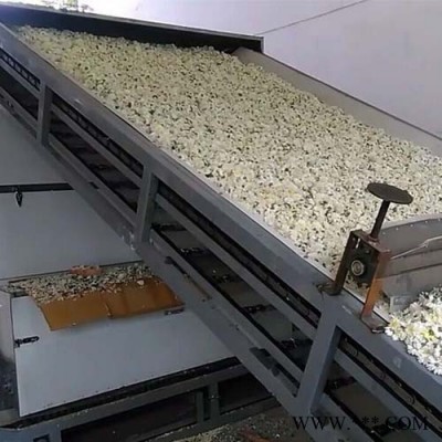 百信菊花烘干机 药用菊花烘干设备 怀菊花产地加工设备 连续式无硫干燥图4
