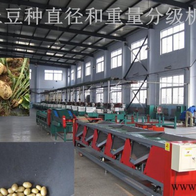 凯祥牌四代微薯分选分级机、砂糖桔选果机、小土豆分级机 果蔬加工设备图2