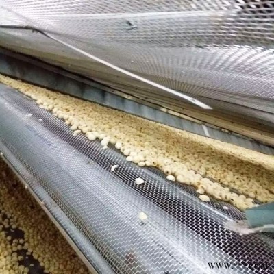 大型中药材连翘烘干机 多层连续式连翘干燥机 中药材烘干加工设备图4