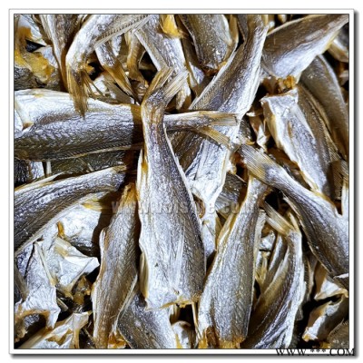 西原SR-CD-30咸鱼干烘干机 酱鱼干腊鱼干烘干设备 醋鱼烟熏鱼干干燥加工设备 节能环保智能水产低温除湿机图8