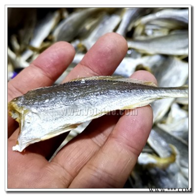 西原SR-CD-30咸鱼干烘干机 酱鱼干腊鱼干烘干设备 醋鱼烟熏鱼干干燥加工设备 节能环保智能水产低温除湿机