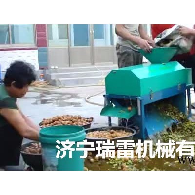 新疆纸皮核桃去皮机 电动核桃加工设备报价  核桃加工设备报价图4
