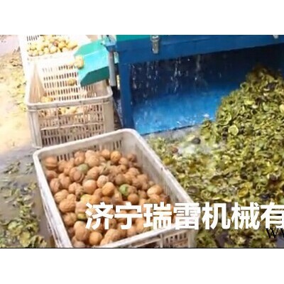 新疆纸皮核桃去皮机 电动核桃加工设备报价  核桃加工设备报价图5