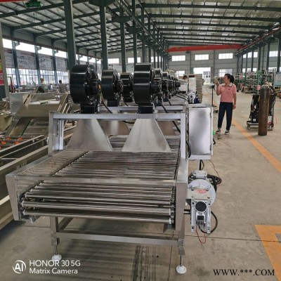 心义每天10万穗玉米加工流水线 玉米滚杠式清洗风干机 双排风刀沥水机不锈钢玉米加工设备图3