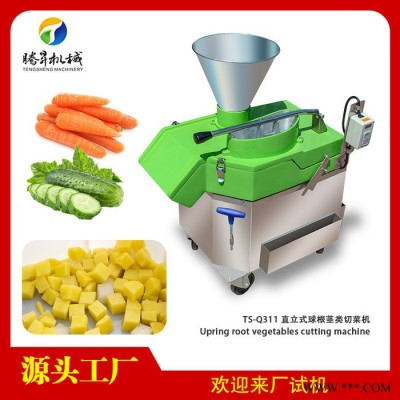 腾昇TS-Q311果脯制品厂电动切片机 不锈钢苹果切片机 切片机价格 厂家 果蔬加工设备图7