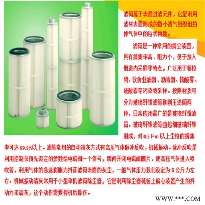 矿山滤筒除尘器 厂家直供滤筒除尘器 小型滤芯除尘设备加工  欣千环保   诚信经营  厂家发货图4