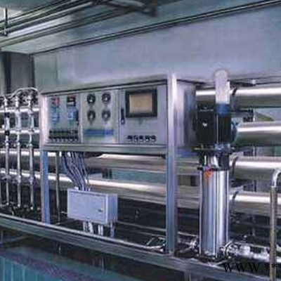 食品加工 制药厂 电子工业 实验室 反渗透纯净水设备 1-100T/H定制图8
