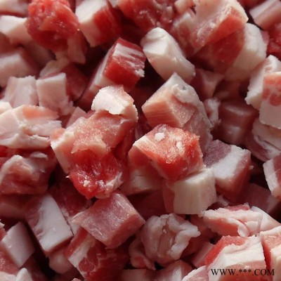 **ZW-350冻肉切丁机/牛肉切块机，切肉机价格，冻肉加工设备 鸡肉切丁机 红烧肉切丁图2