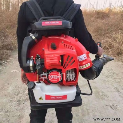 供应背负式吹风机 树叶吹风机 汽油两冲四冲程吹风机图4