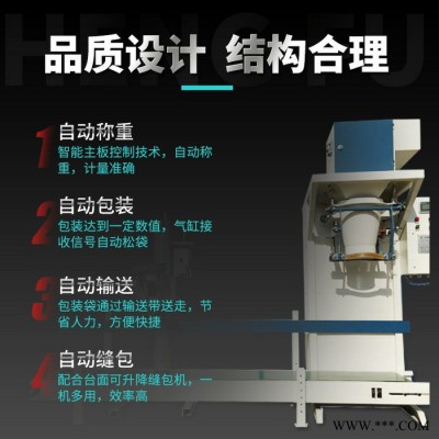 新恒富全自动活性炭打包机 饲料加工厂用打包设备 自动输送称重封口一体机图3