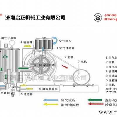 啟正牌150A回旋式风机 回转鼓风机 支持单相电机定制图2
