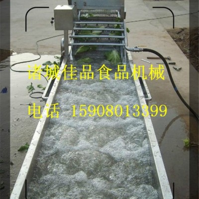 果蔬气泡清洗机 旋涡喷淋清洗机 水果蔬菜清洗加工全套设备让您一站购齐 果蔬清洗机图2