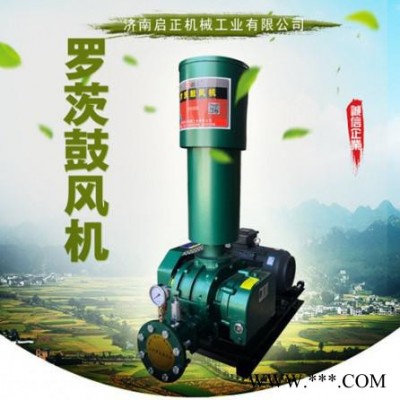代加工啟正CCR150三叶罗茨风机 容积式风机图3