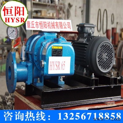 供应恒阳HYSR50-300供应罗茨风机/章丘风机图2