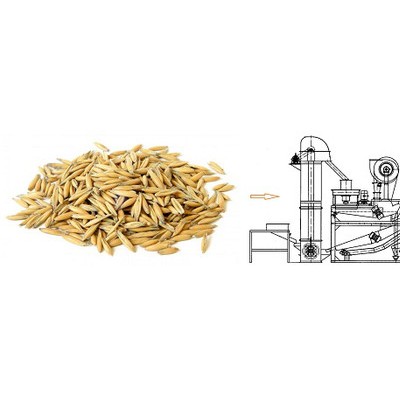 高效燕麦脱壳机燕麦脱皮机布谷_TFYM1000_燕麦加工设备图3
