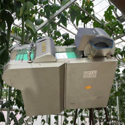 咸菜加工切丁机 榨菜加工机械设备 榨菜切丝机富兴图6