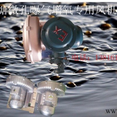 污水处理专用风机  水处理风机选型图5