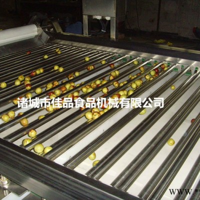 扁豆加工设备 芸豆清洗机 芸豆加工设备 腌制菜清洗机 型号报价 泡菜清洗机图3