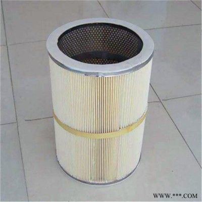 高效滤筒除尘器 小型滤芯除尘设备加工 3万风量滤筒除尘器 欣千环保  品质可靠  诚信经营图3
