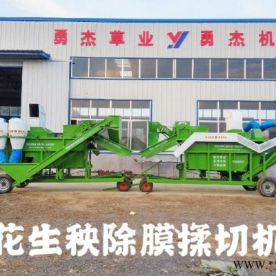 秸秆去除地膜 花生秧除膜揉切机 大型牛羊饲料加工设备   秸秆饲料加工切碎设备图5