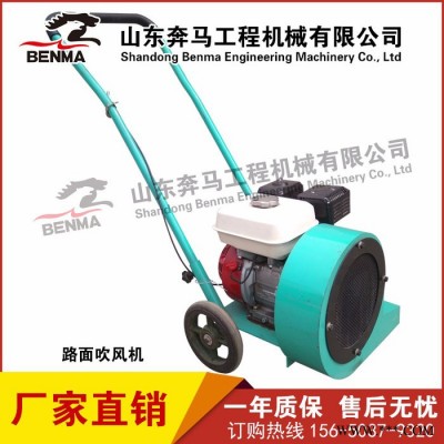 马路吹风机沥青灌缝三剑客生态园落叶吹风机除湿吹风机汽油内燃吹风机厂家图8