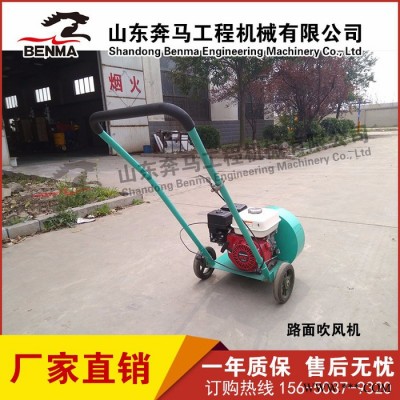 马路吹风机沥青灌缝三剑客生态园落叶吹风机除湿吹风机汽油内燃吹风机厂家图4