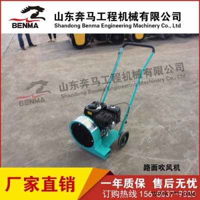 马路吹风机沥青灌缝三剑客生态园落叶吹风机除湿吹风机汽油内燃吹风机厂家图5