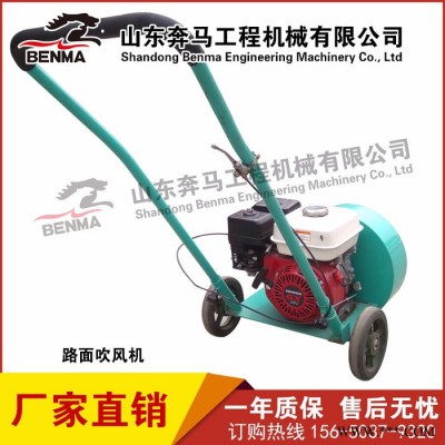马路吹风机沥青灌缝三剑客生态园落叶吹风机除湿吹风机汽油内燃吹风机厂家图7