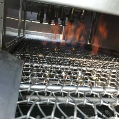 源冠YG075 肉皮烧毛机烧毛机设备加工定制速度可调图3
