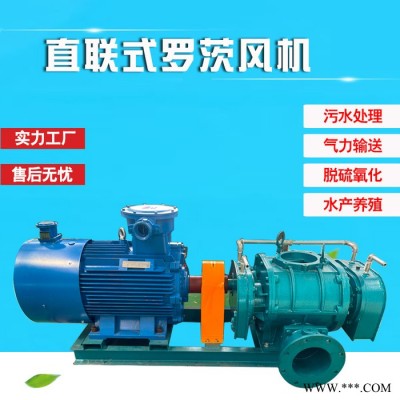 山东鑫仟顺罗茨风机厂家 气力输送罗茨风机XQSSR50 37KW罗茨风机 售后保障图5