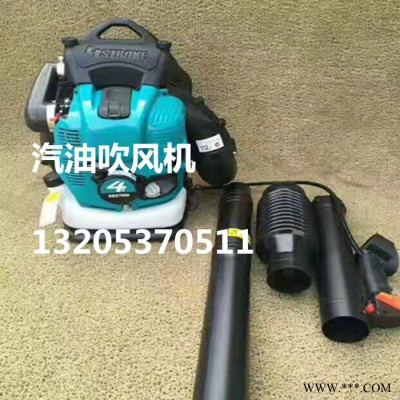 森林**风机送风机 小型汽油吹雪机 多功能便携吹风机报价图7